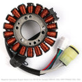 Magneto Generator Stator Coil for Yamaha YFM250 01-09 YFM660 01-05 1P0-H1410-00