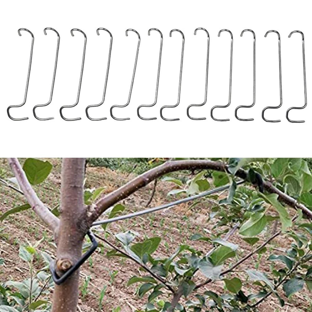 12 Piece Adjustable Branch Guide for Fruit Trees (Universal)