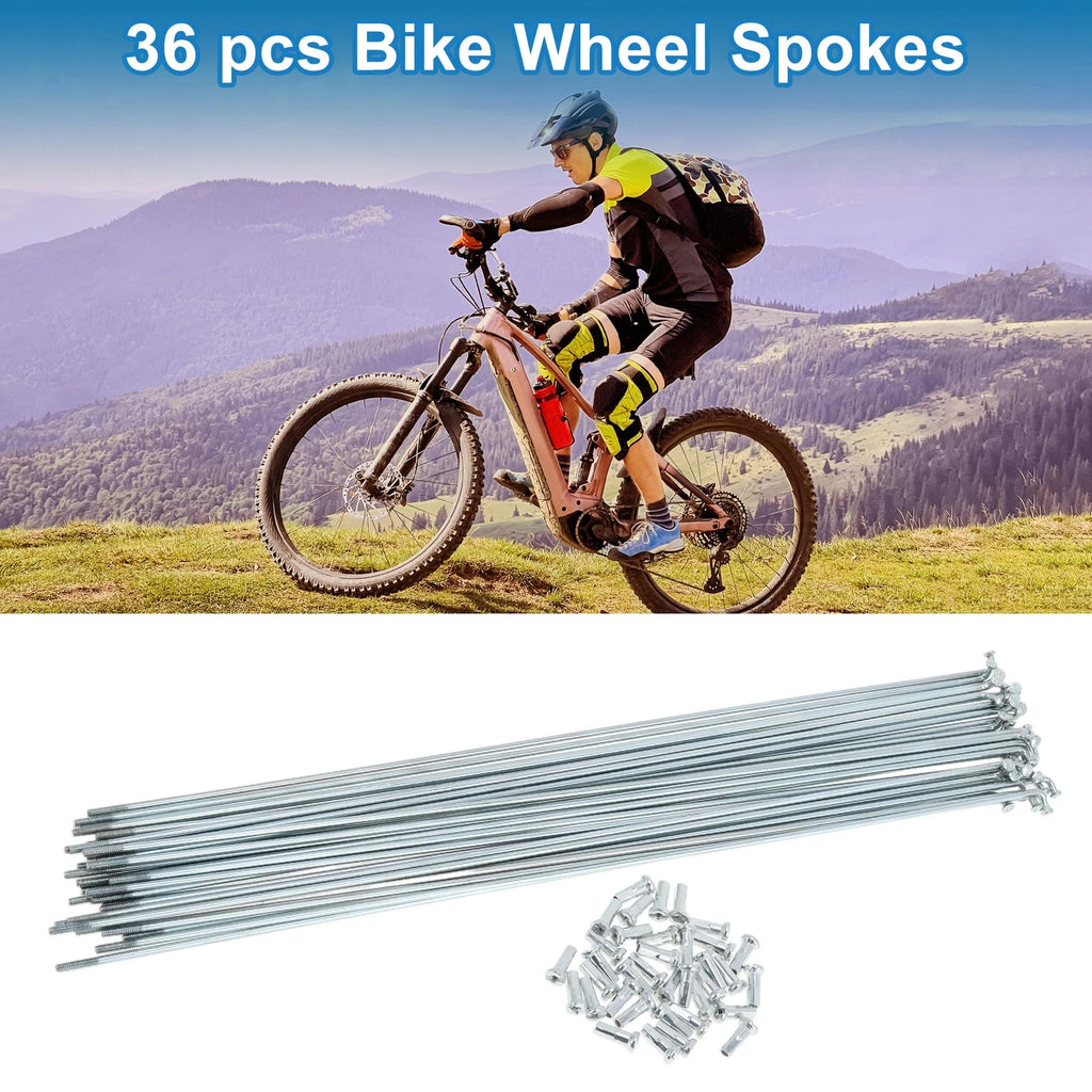 Bicycle Spoke Set Galvanized 259mm for 14G Wheels (1960–2026)