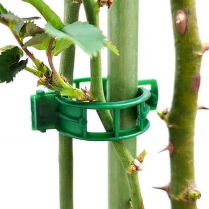 300 Plant Clips for Climbing Plants (Tomatoes, Cucumbers, Grapes)