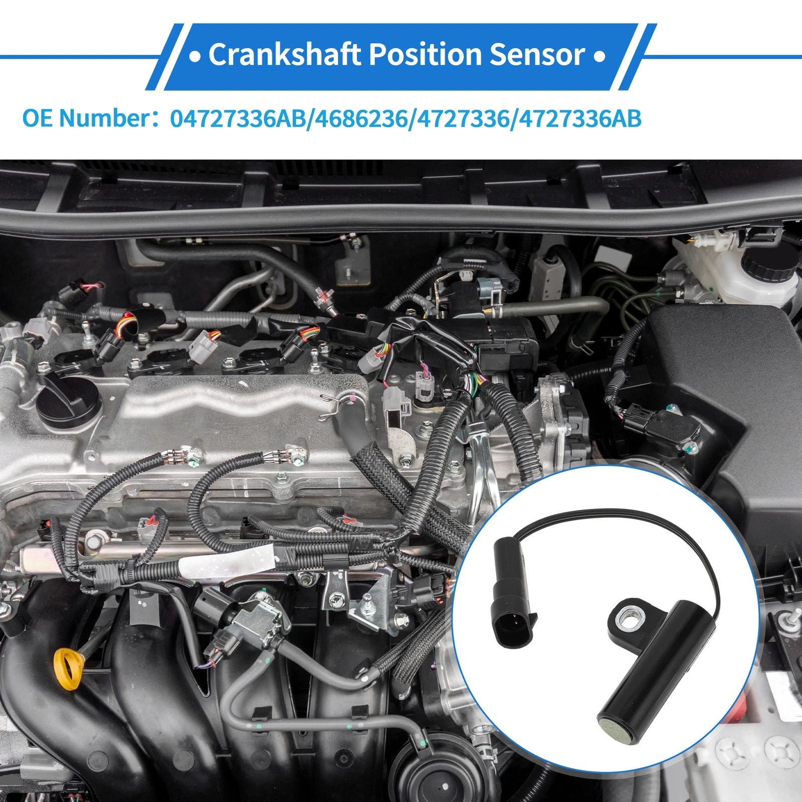 Crankshaft Position Sensor for Dodge Caravan V6 3.0L (1996–1997)