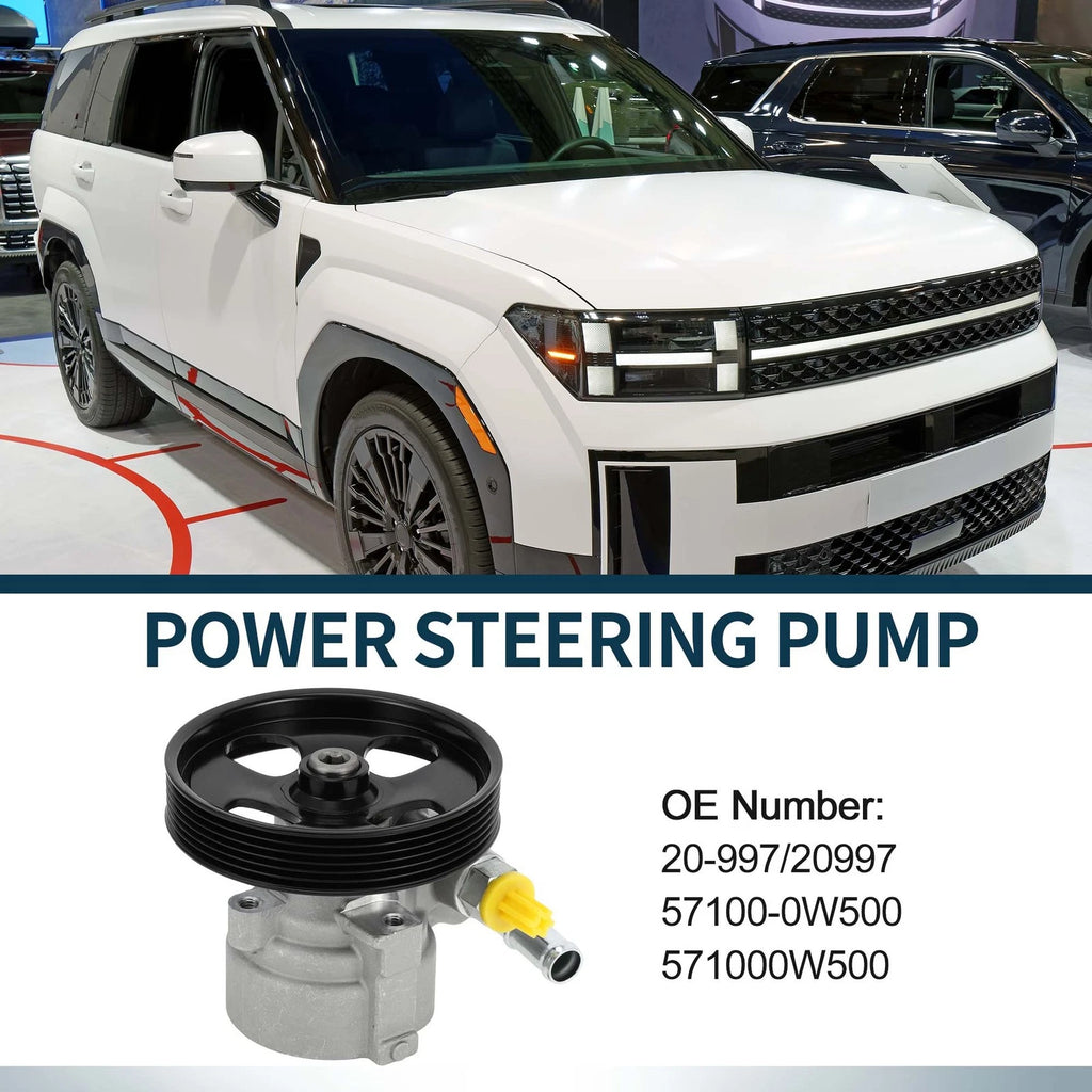 Power Steering Pump with Pulley for Hyundai Santa Fe (2007–2009)