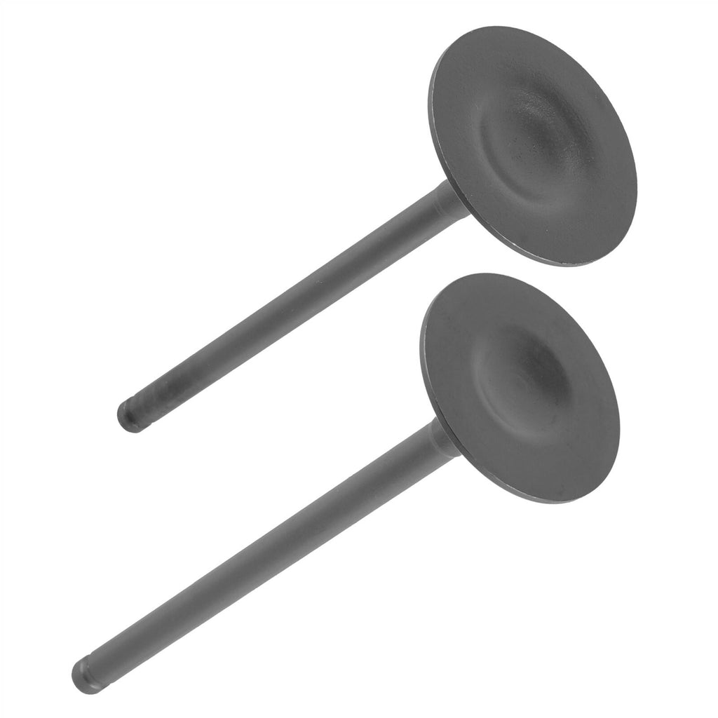 Engine Exhaust Intake Valves Replacement Set for Honda RINCON 650 TRX650F (2003–2005)