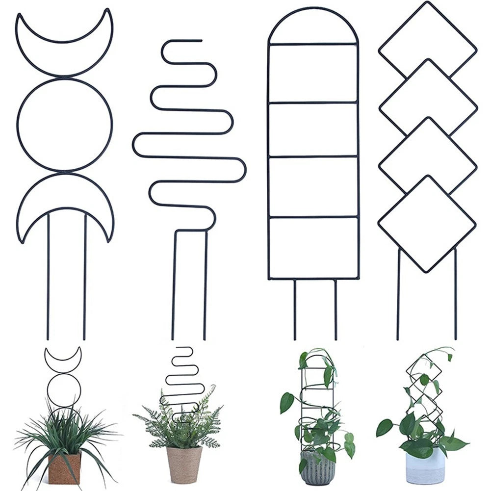 Mini Trellises for Indoor Vines