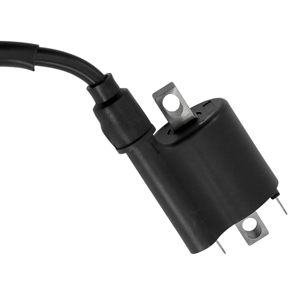 Ignition Coil Replacement for Honda CRF110F (2013–2018)