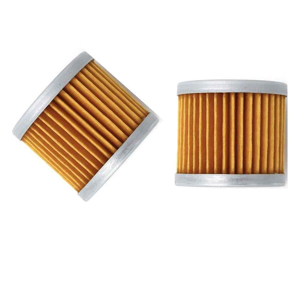2X Oil Fuel Filter for Suzuki DF 8 9.9 15 15A 20HP (16510-05240, 16510-45H10)