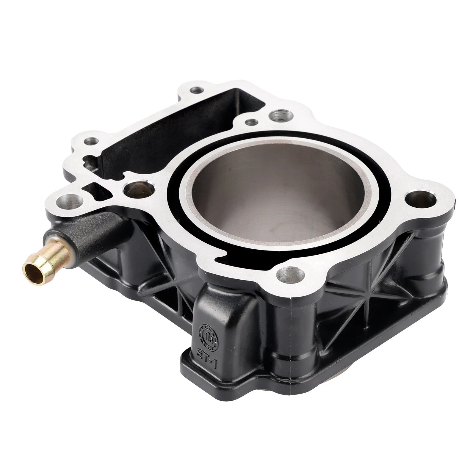 250cc Cylinder Piston Kit for Bajaj Pulsar 200 NS/NS200/RS200 (2012–2023)