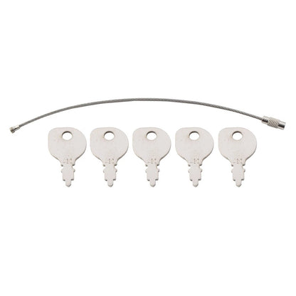 Set of Keys & Key Ring for Ignition Starter (430-009)