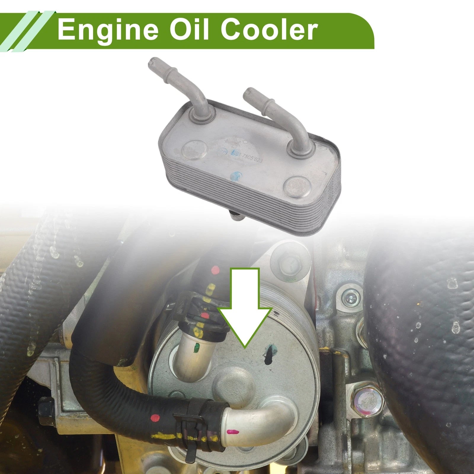 Engine Oil Cooler for BMW 540i OEM Replacement (2004–2010)