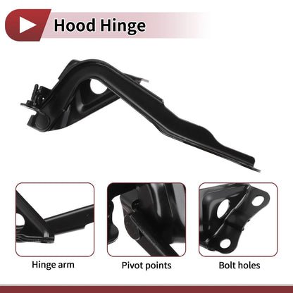 Hood Hinge for Toyota RAV4 (2009–2013) Right Side, 1 pcs
