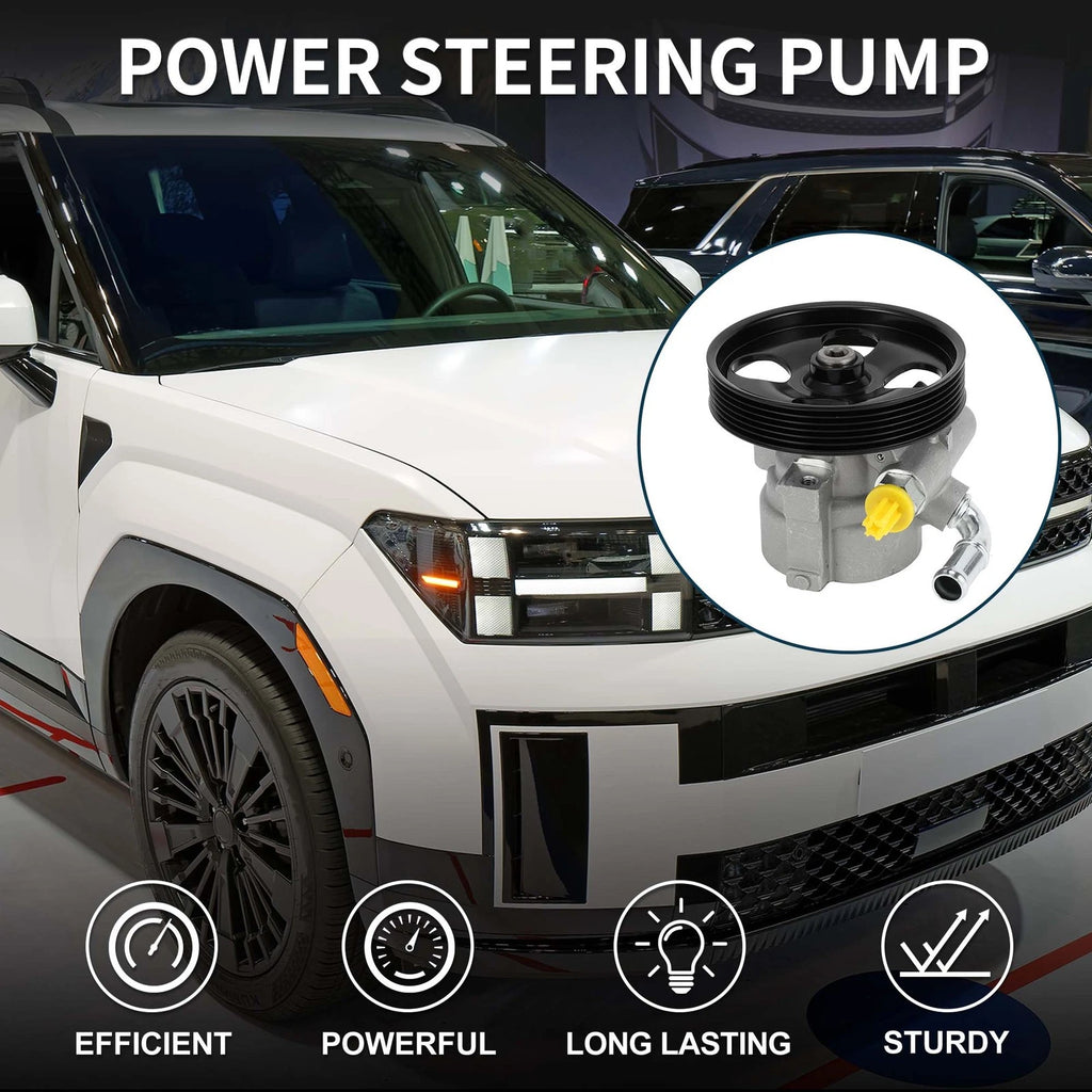 Power Steering Pump with Pulley for Hyundai Santa Fe (2007–2009)