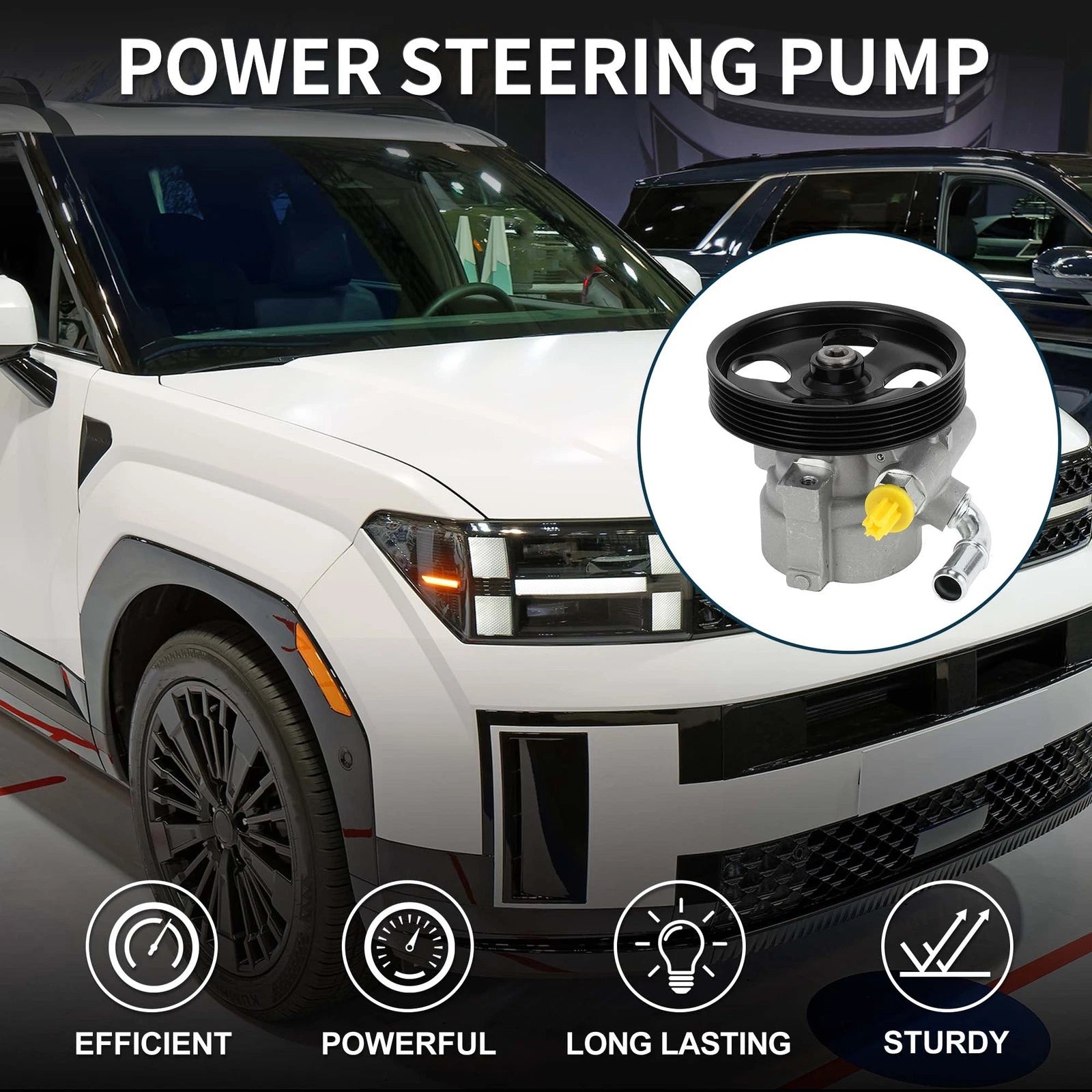 Power Steering Pump with Pulley for Hyundai Santa Fe (2007–2009)
