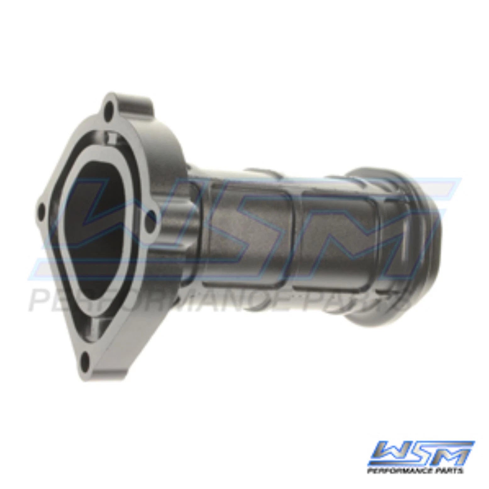 WSM Manifold for