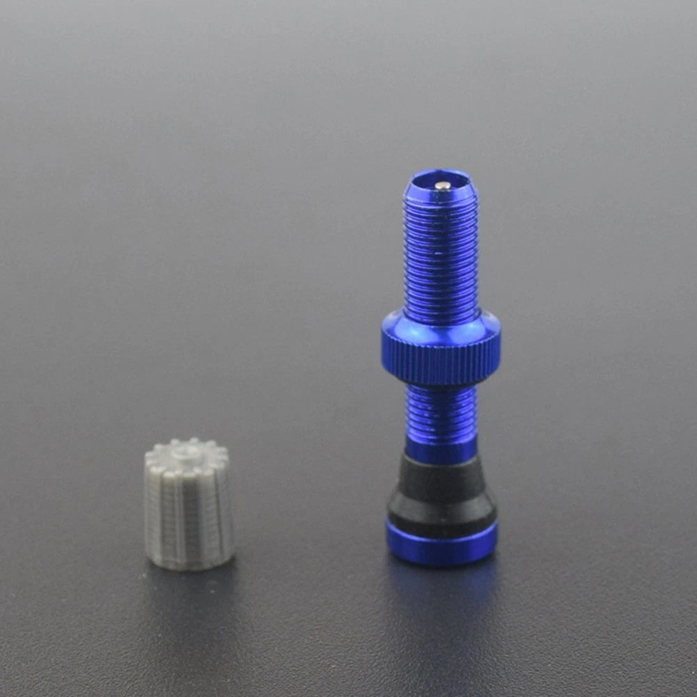 Tubeless Valve for Schrader Valve (2010–2023)
