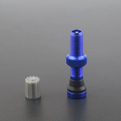 Tubeless Valve for Schrader Valve (2010–2023)
