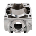 Cylinder Kit with Piston & Top End Gasket for EXC 300 XC XC-W 300 TPI (2019–2022)