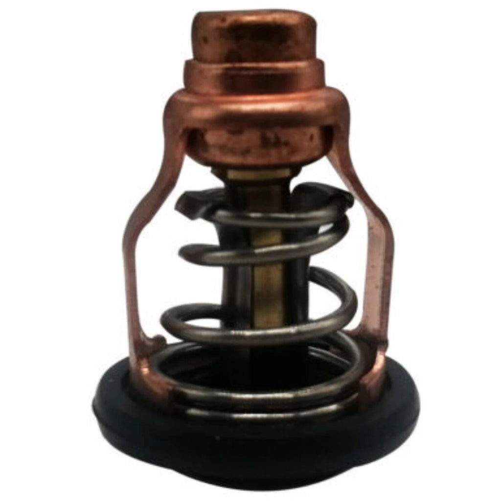 Thermostat for Yamaha F80B F100D Outboard Motor (4-Stroke) (6D9-12411-00)