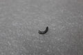 Valve Collet Retainer Split Ring for Ducati (2003–2025) 66910011E