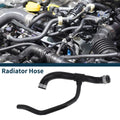 Radiator Hose Replacement for Mercedes-Benz S500 W221 5.5 (2005–2013)