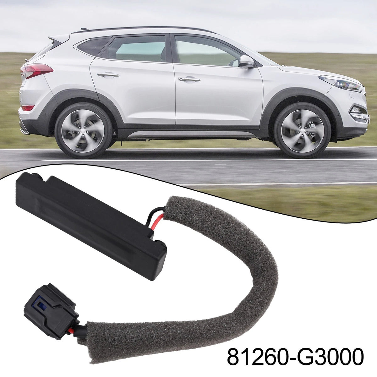 Tailgate Release Switch for