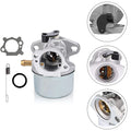 Carburetors for BS Engine Types