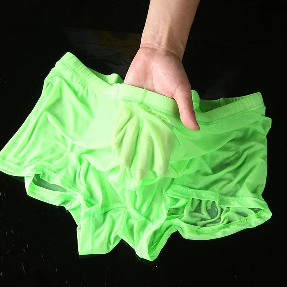 2X Sheer Mesh Boxer Briefs for Men - See Through Trunks