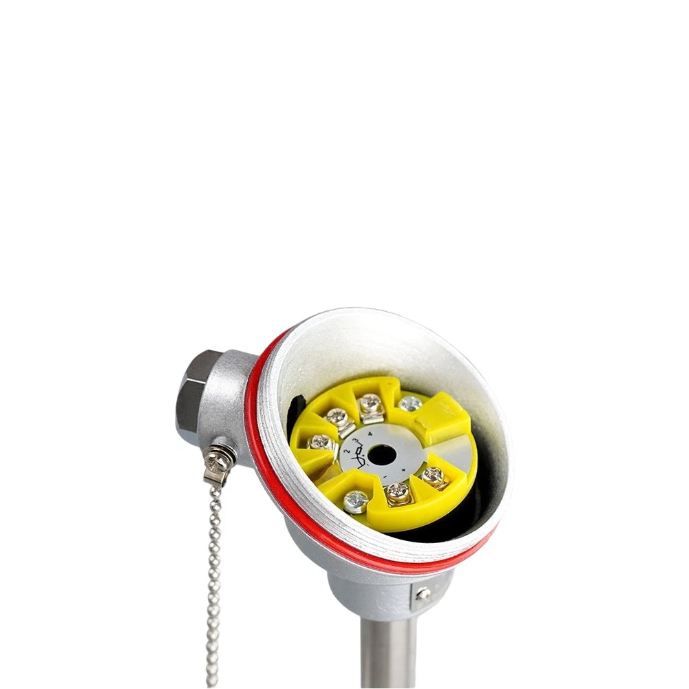 PT100 Temperature Transmitter for Automotive Applications
