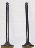 Engine Valve Kit WSM 160 LT for 1989-2001 (Part No. 017-206)