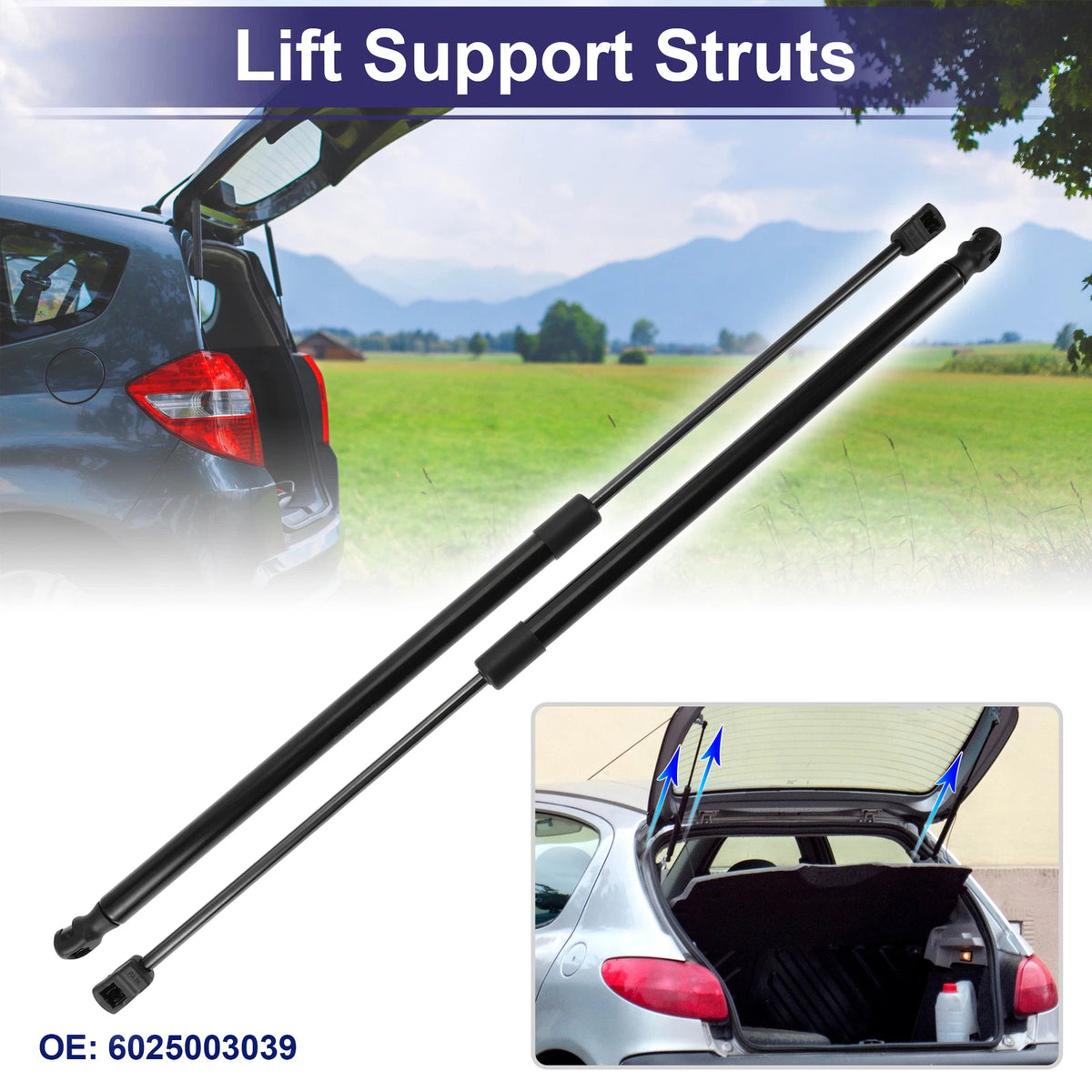 Rear Hatch Lift Support Struts No. 6025003039 for Renault Espace MPV (1984–1992)