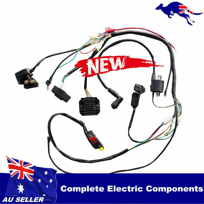 Wiring Harness Loom Engine Kit for Atomik Thumpstar Pitpro Foxico TDR (2000–2023)