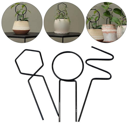 Metal Climbing Frame Plant Support Bracket for Vertical Growth