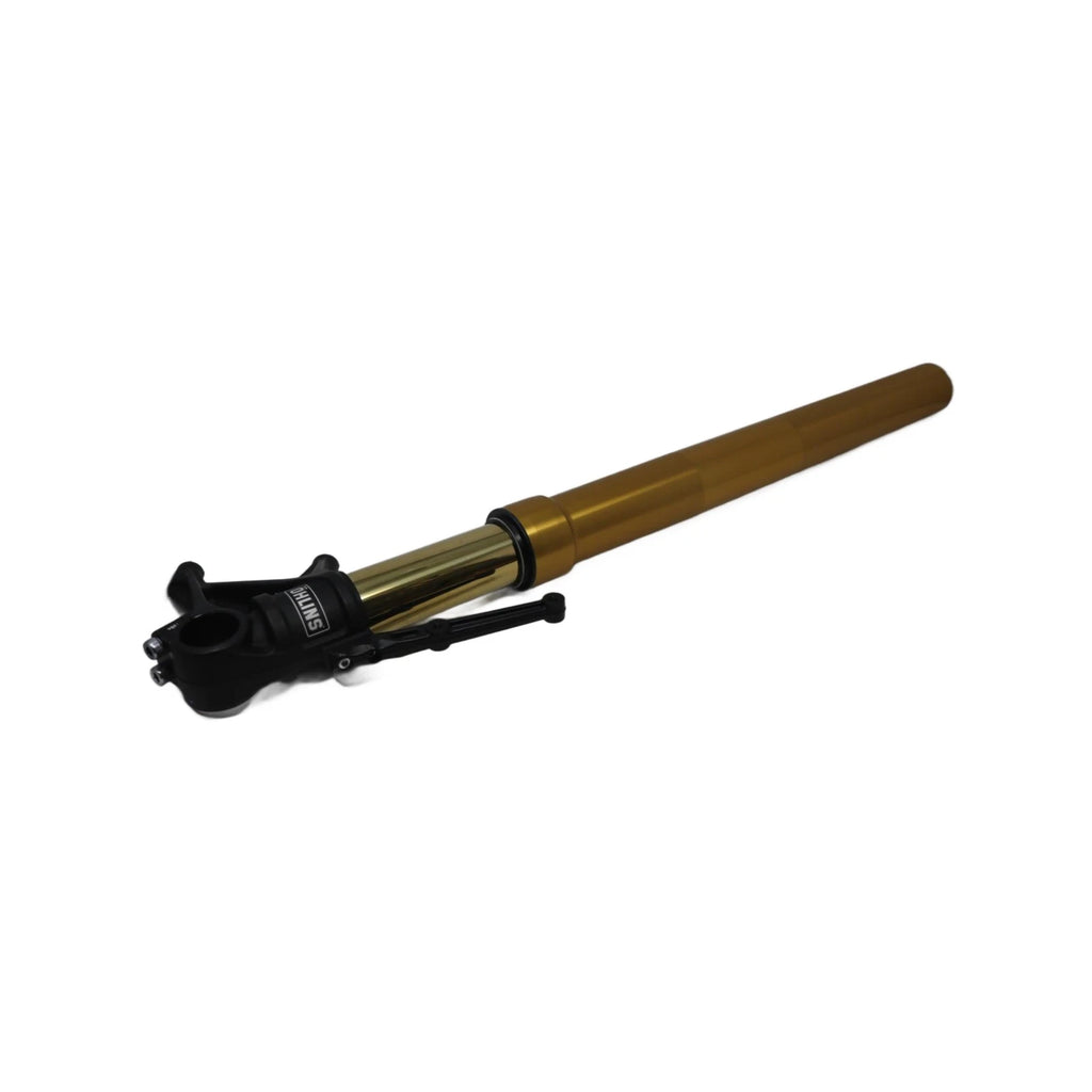 Right Fork Left Assembly for Ducati Diavel S (2021–2022) 34421074A