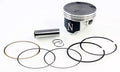 Piston Kit for Namura NA-30010