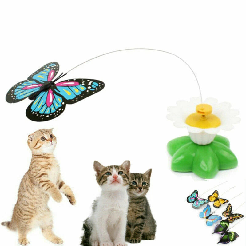 Electric Rotating Bird Toy for Cats - Teaser Fun Kitten Play AU