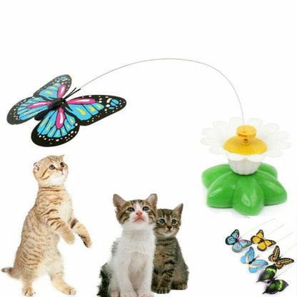 Electric Rotating Bird Toy for Cats - Teaser Fun Kitten Play AU