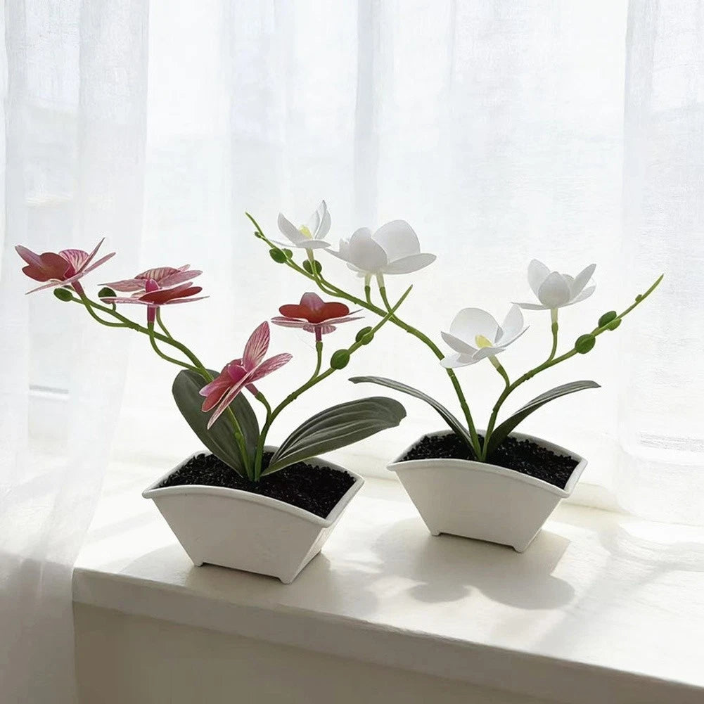 Plastic Phalaenopsis Orchid for Wedding Home Tabletop