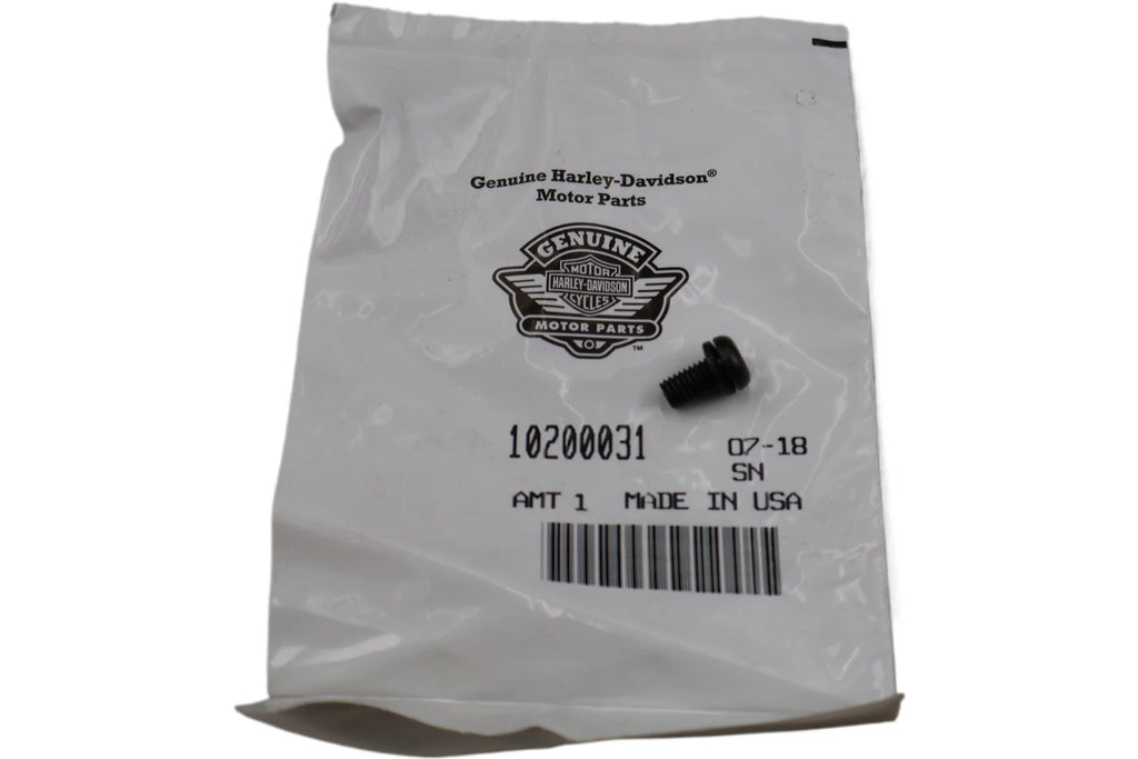 HCU Bracket Screw for Harley-Davidson FXD Dyna (2012–2017) 10200031