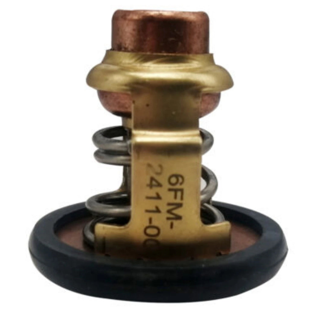 Thermostat for Yamaha 20 25 HP F20F F20G F25G 6FM-12411-00-00