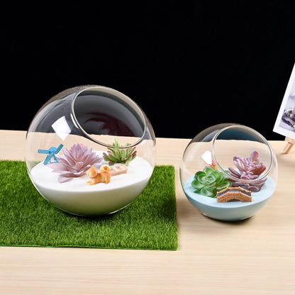 Clear Terrarium Bauble for Tabletop Plant Display