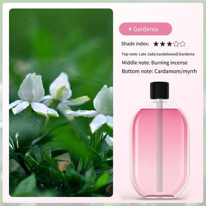 Aromatherapy Essential Oils 40ml with Natural Floral and Herbal Extracts