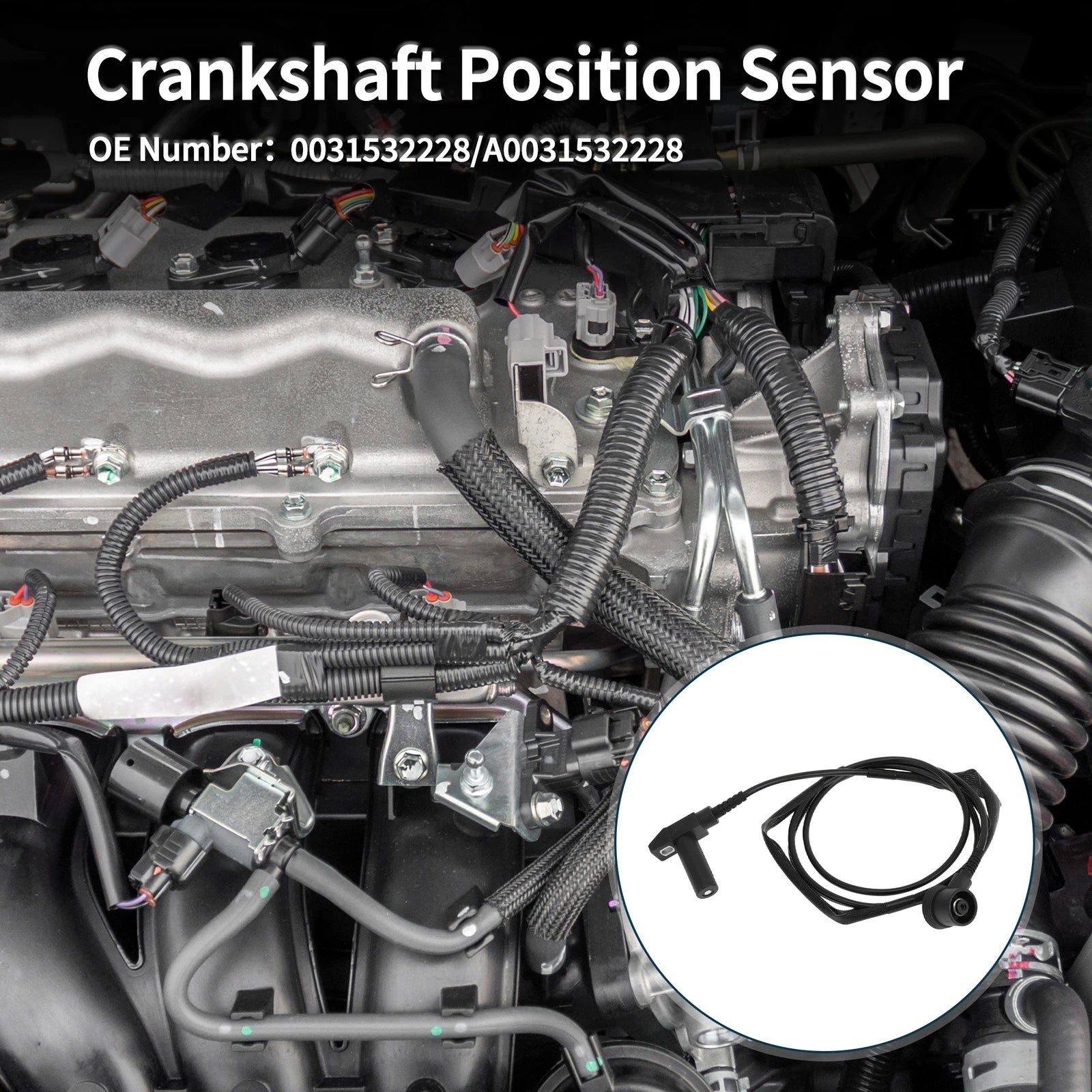 Crankshaft Position Sensor for Mercedes-Benz S600 6.0 (1993–1998)