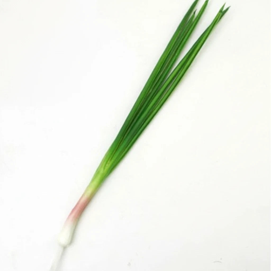 Set of 3 PU Green Onion Models for Teaching and Display