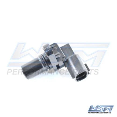 WSM Sensor for