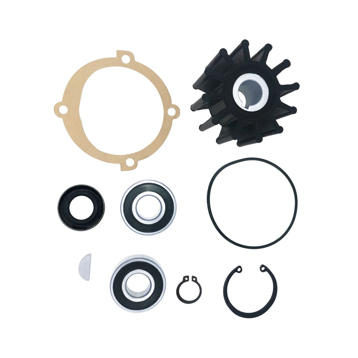 Major Repair Kit for Sherwood Pump (10615, P102, P105, P109, P110)