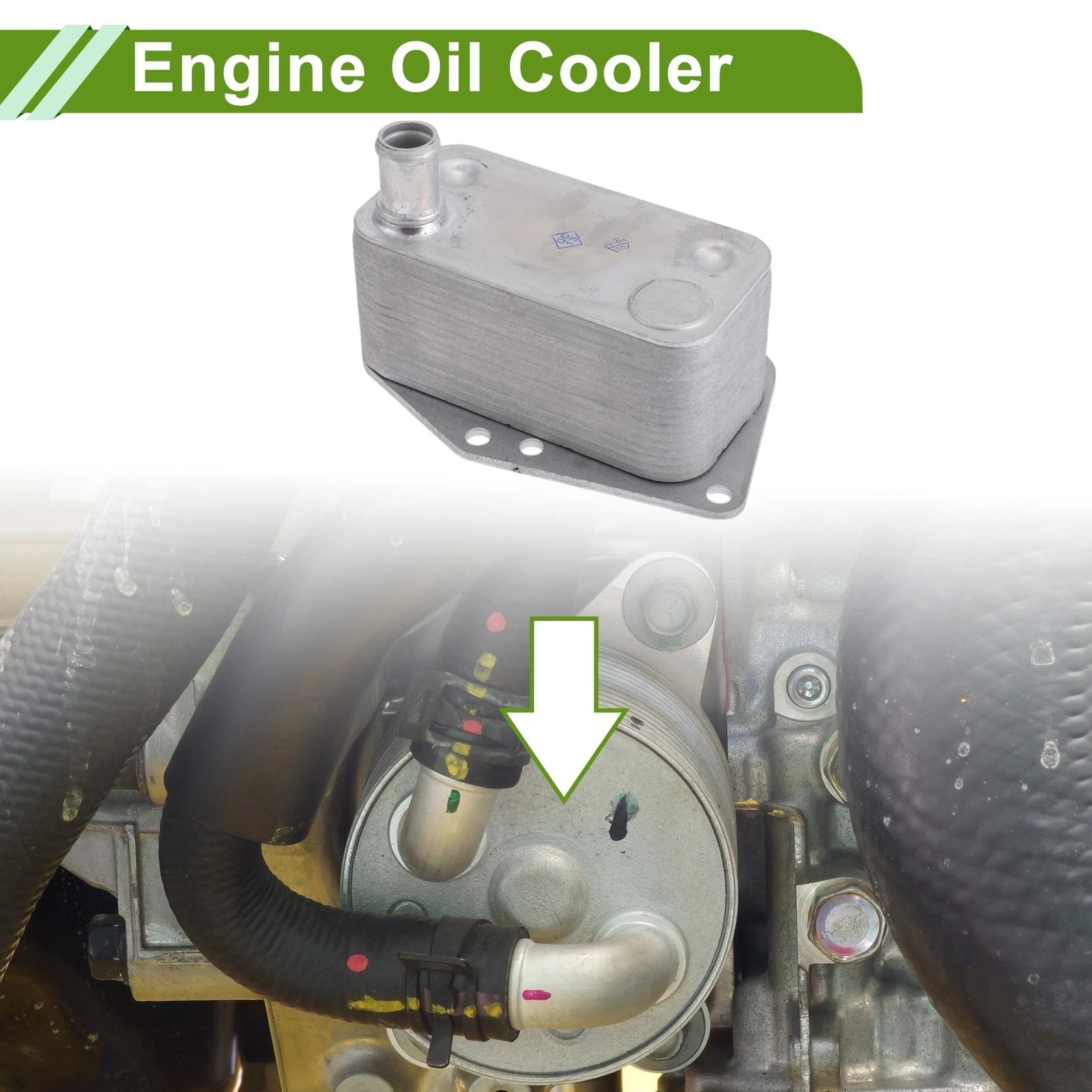 Engine Oil Cooler Replacement for BMW 3 Series (2013–2020) Transmission 1 Pc