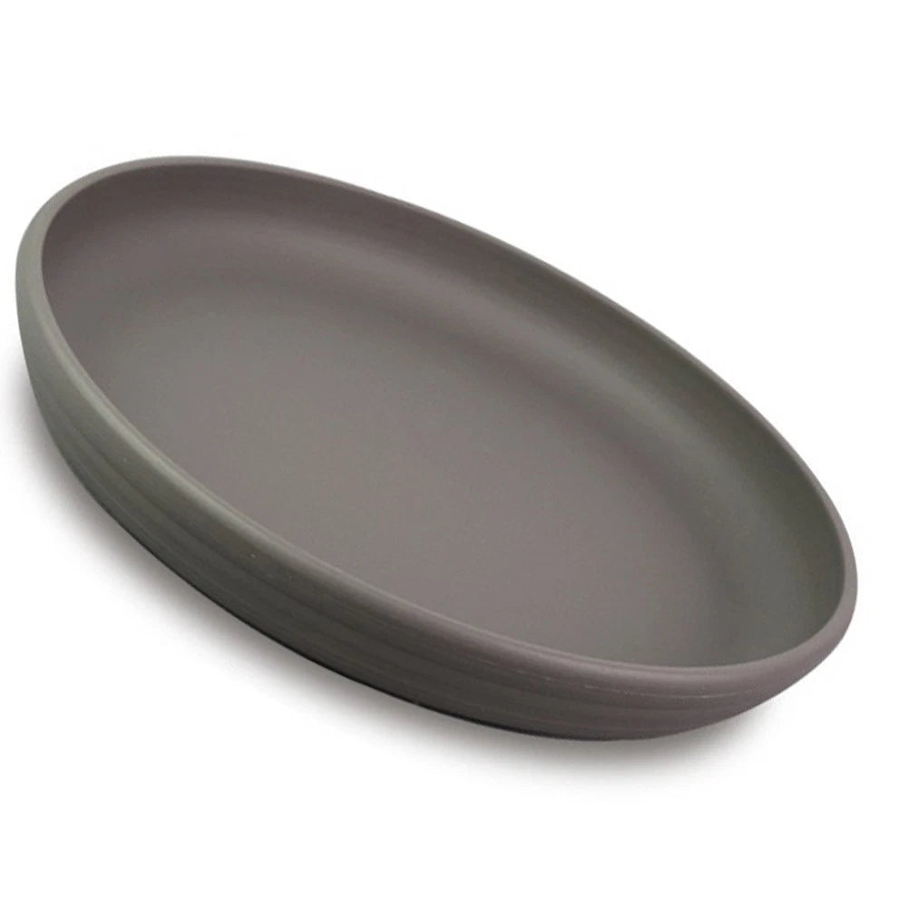Adaptable Round Succulent Plant Saucer Trays for Any Environment