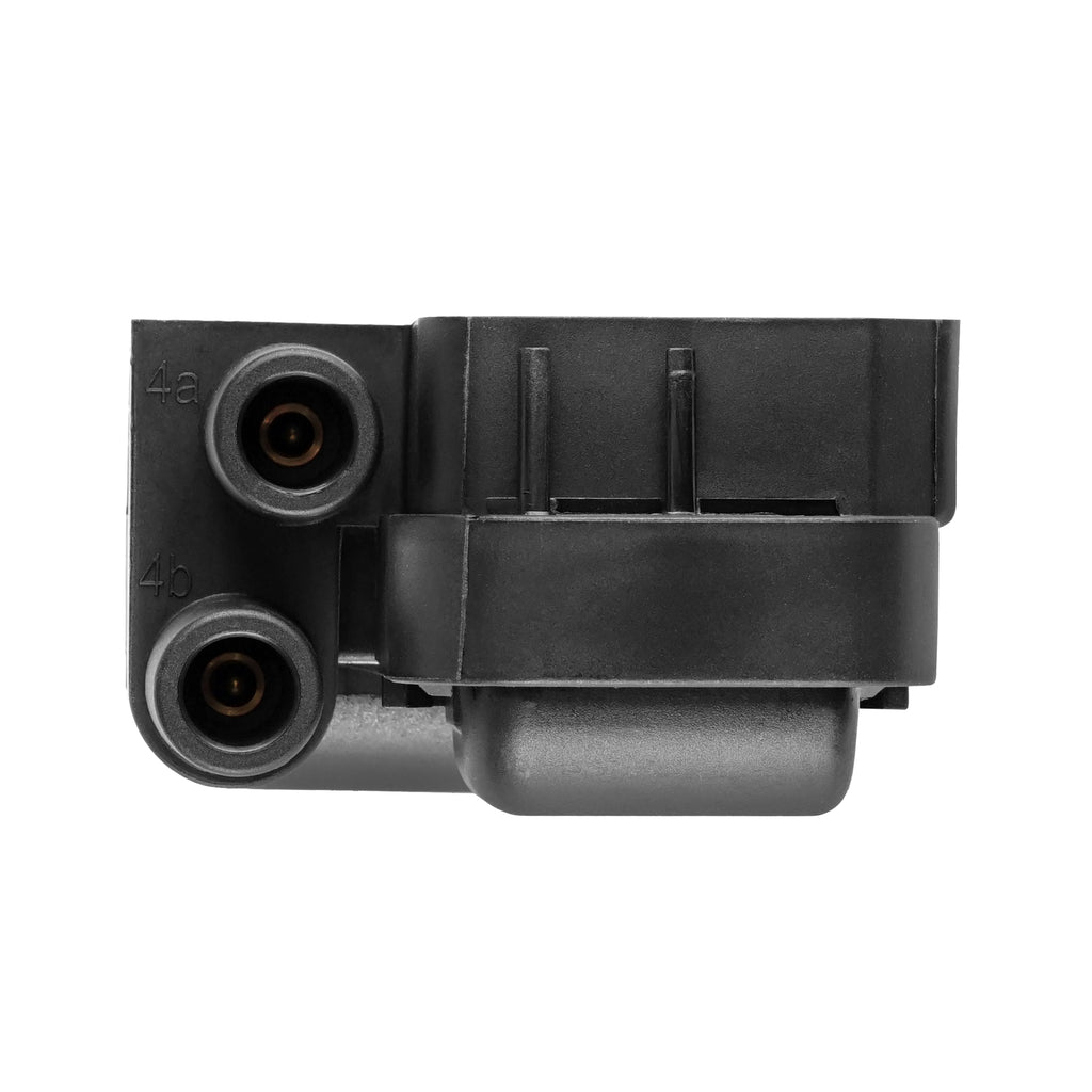 Ignition Coil Replacement for Can-Am Spyder GS Roadster SE5 SM5 (2009)