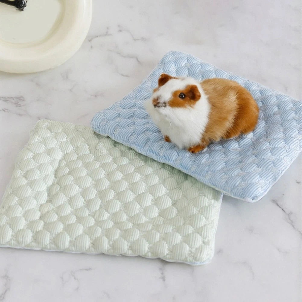 Cooling Pet Mat for Small Pets (Hamster, Guinea Pig, Rabbit) 21x16cm, 31x21cm