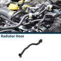 Radiator Hose Lower Replacement for Audi Q5 (2010–2019)