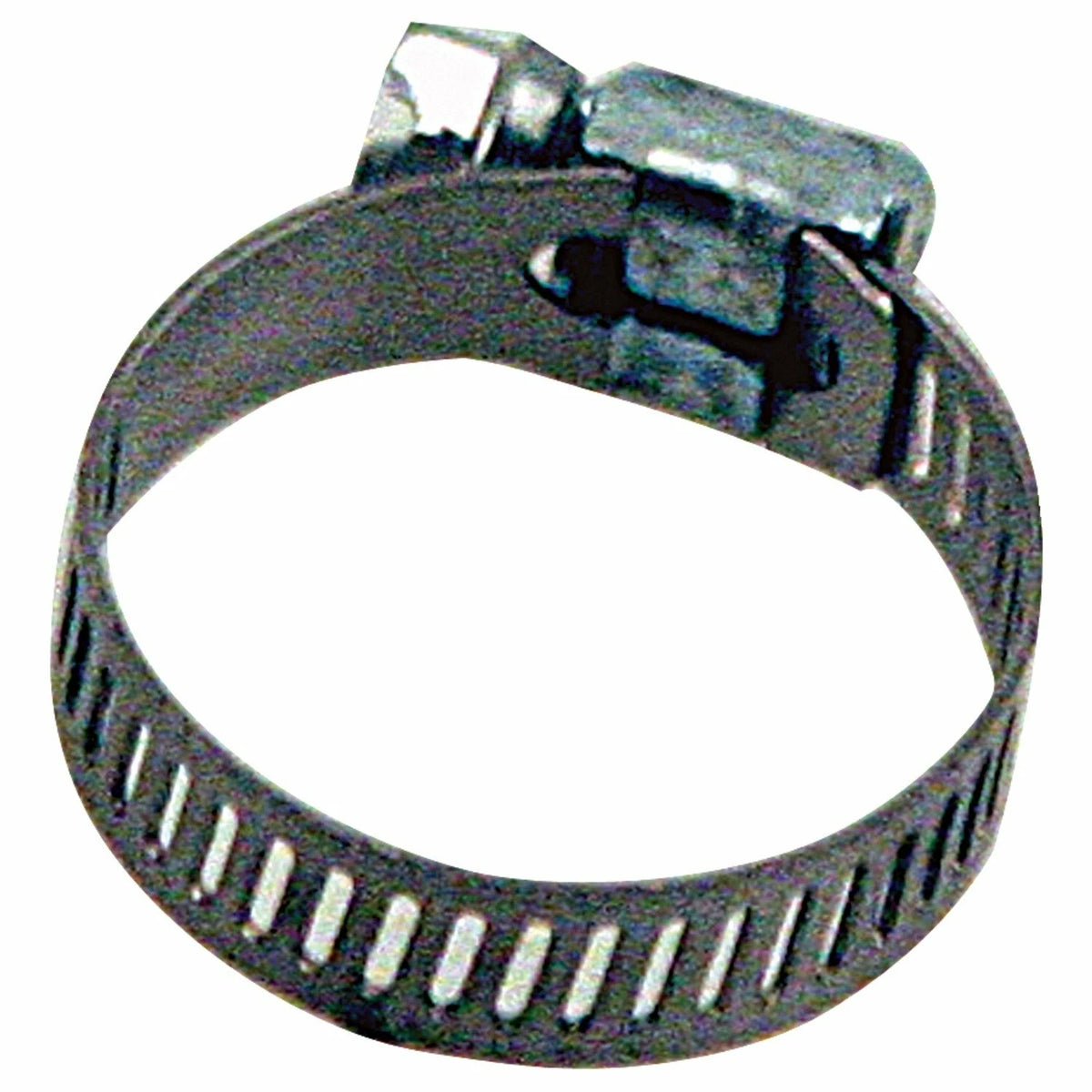 Hose Clamp Size 10 for IDEAL-TRIDON (300010102)